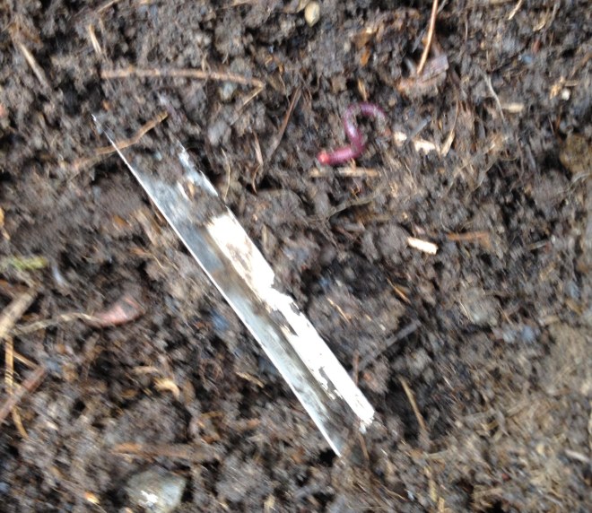 worm and potato peeler in compost